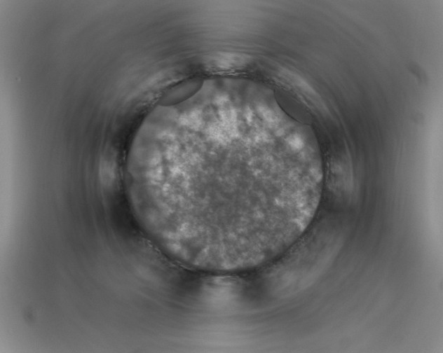 X0000112850324200910021256