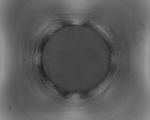 X0000112850325200910021256