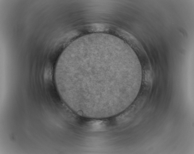 X0000112850326200910021256