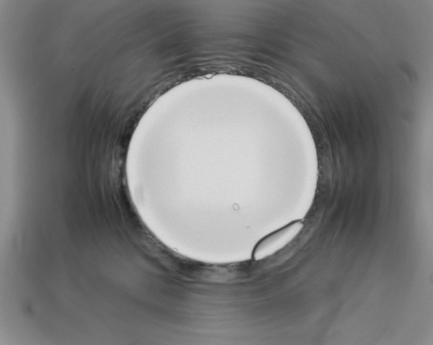 X0000112850328200910021256