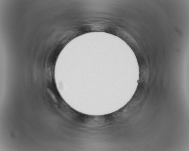 X0000112850329200910021256