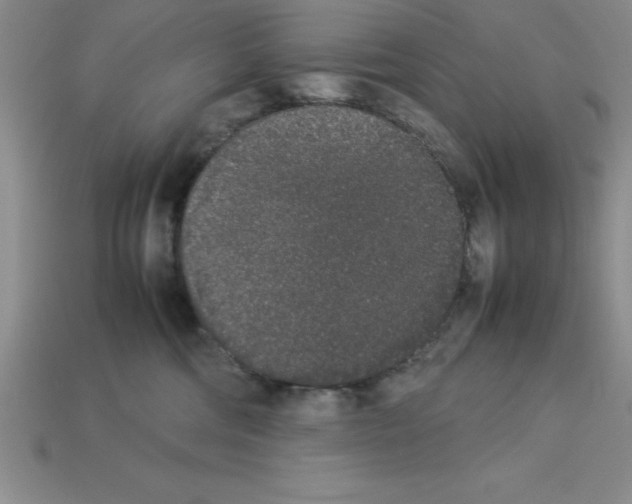 X0000112850330200910021256