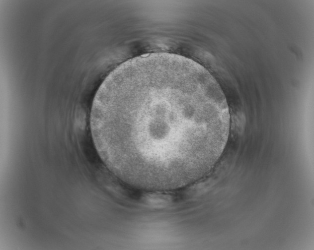 X0000112850331200910021256