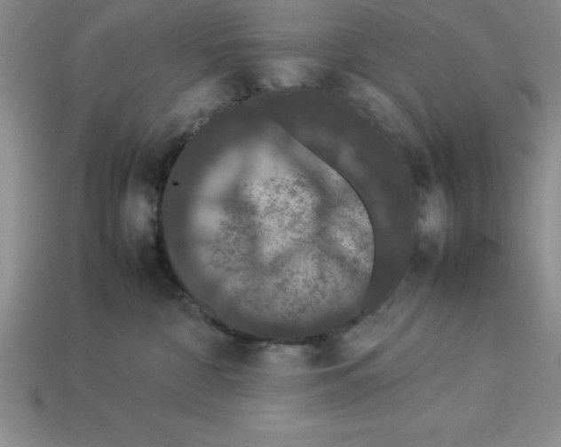 X0000112850332200910021256