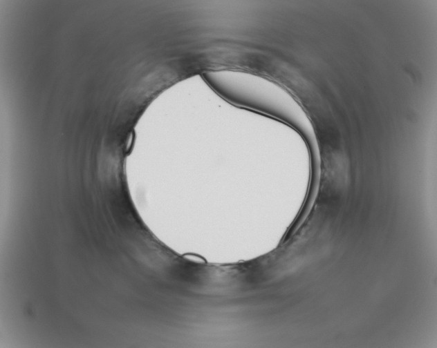 X0000112850333200910021256