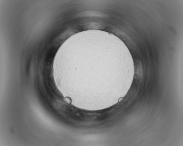 X0000112850334200910021256