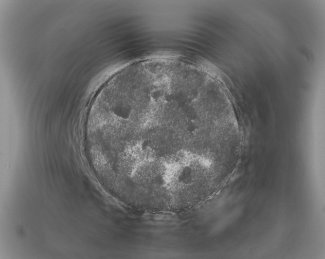 X0000112850337200910021256