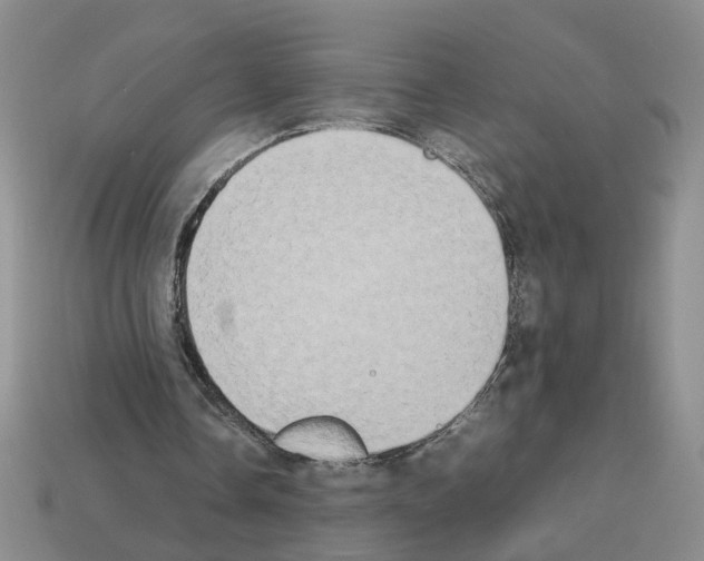 X0000112850338200910021256