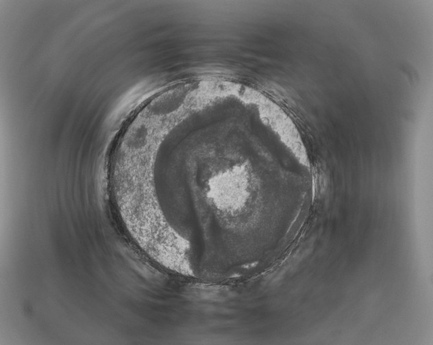 X0000112850339200910021256