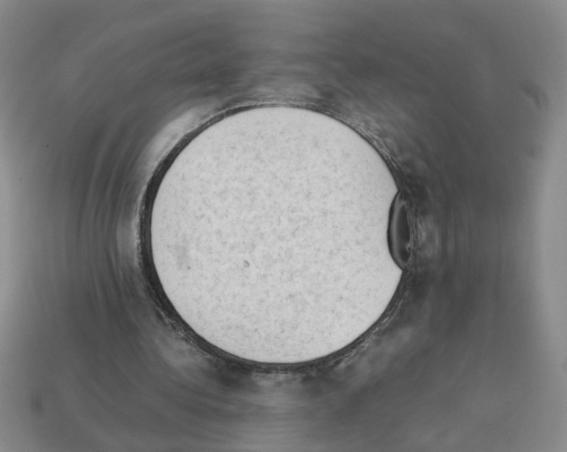 X0000112850340200910021256