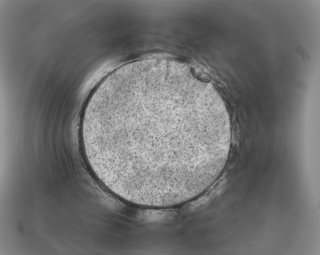 X0000112850341200910021256