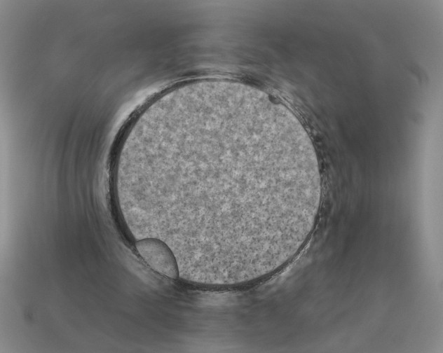 X0000112850342200910021256