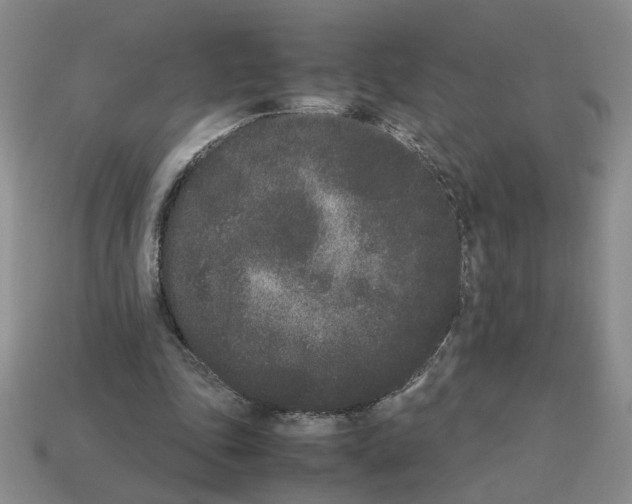 X0000112850343200910021256