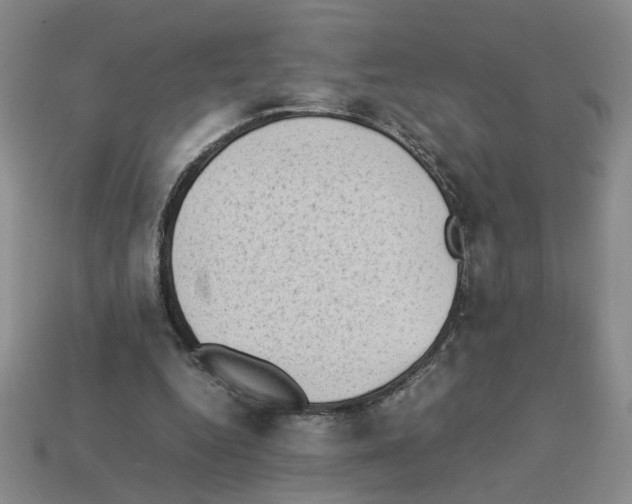 X0000112850344200910021256