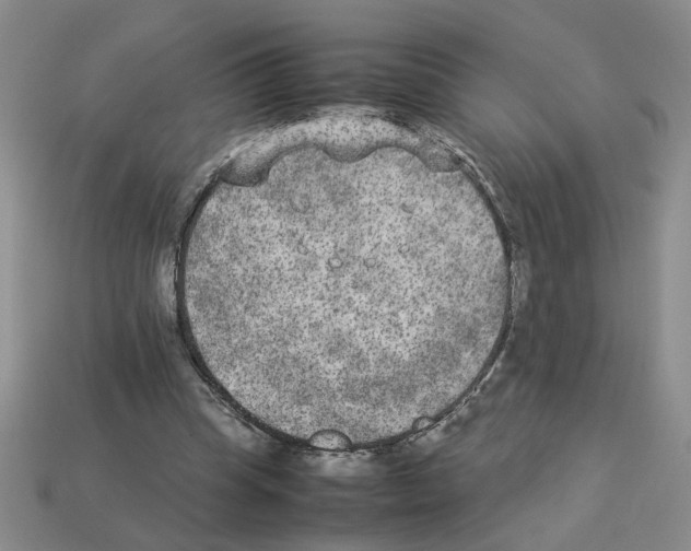 X0000112850345200910021256