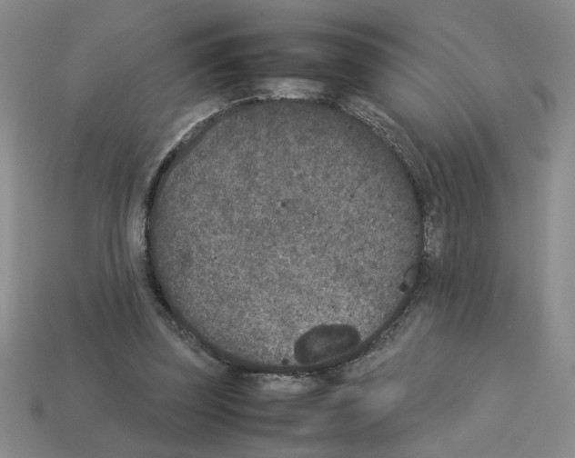 X0000112850347200910021256