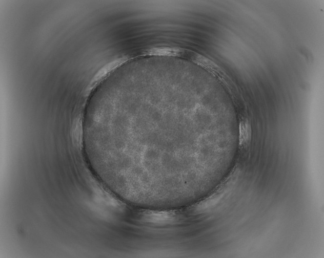 X0000112850349200910021256