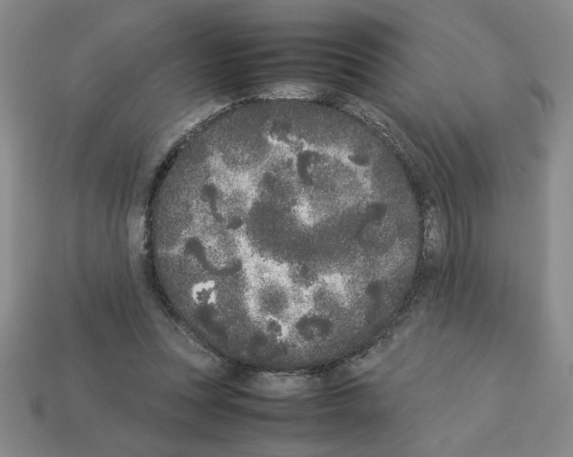 X0000112850351200910021256