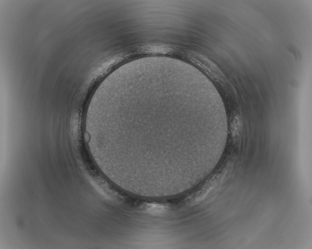 X0000112850352200910021256