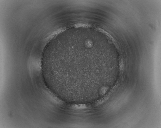 X0000112850353200910021256