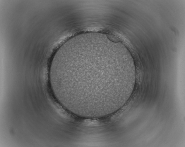 X0000112850354200910021256