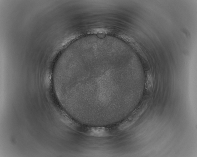 X0000112850355200910021256