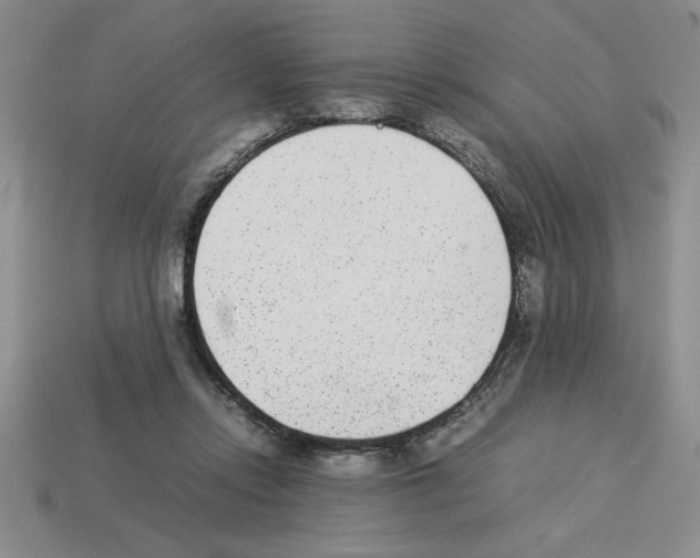 X0000112850358200910021256