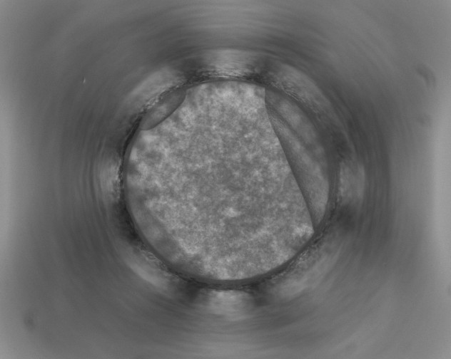 X0000112850360200910021256