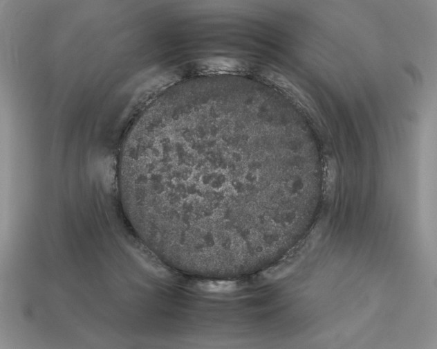 X0000112850361200910021256