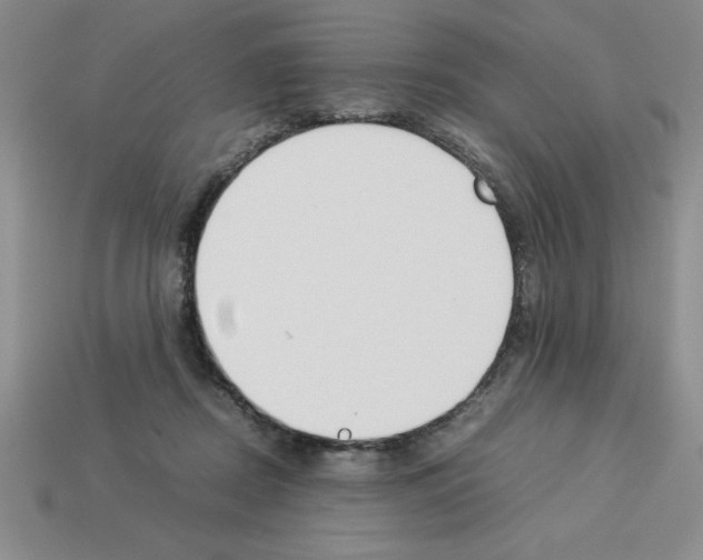 X0000112850362200910021256