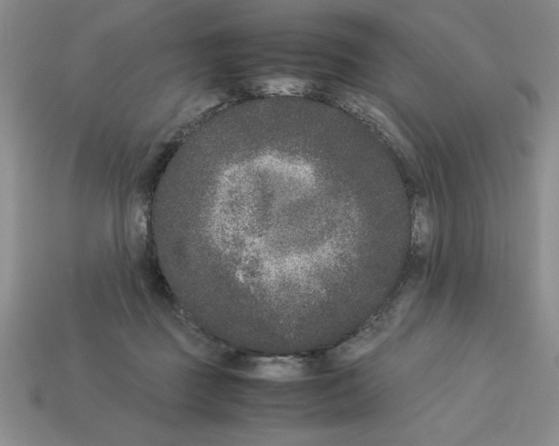 X0000112850363200910021256