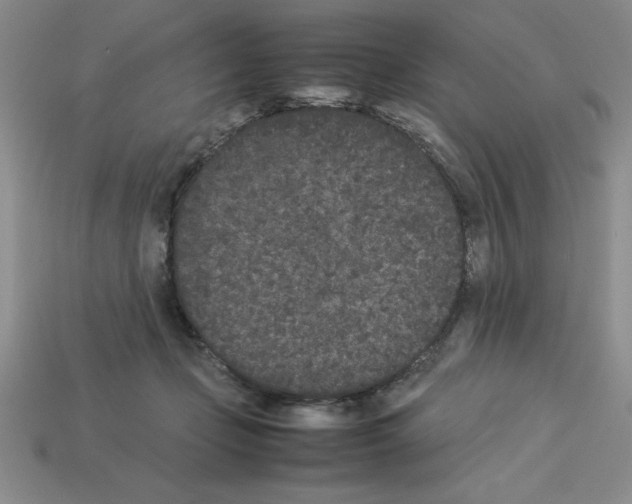 X0000112850365200910021256