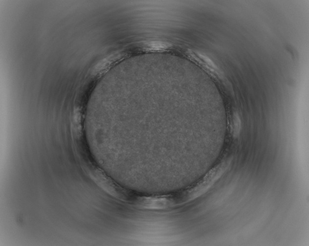 X0000112850366200910021256