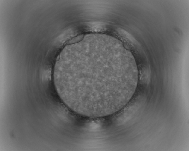 X0000112850368200910021256