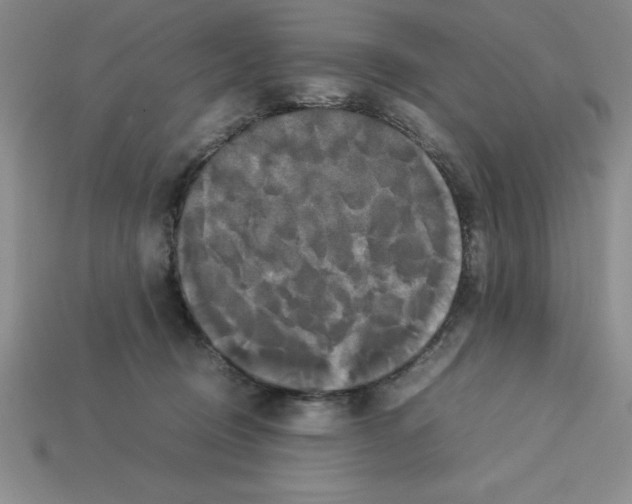 X0000112850370200910021256