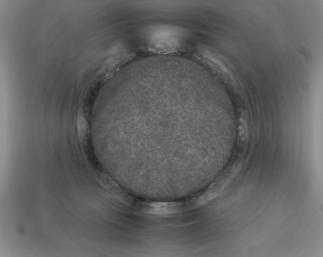 X0000112850371200910021256