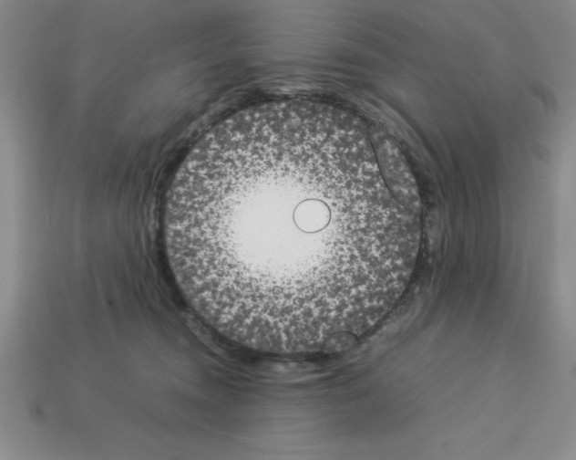 X0000112850372200910021256