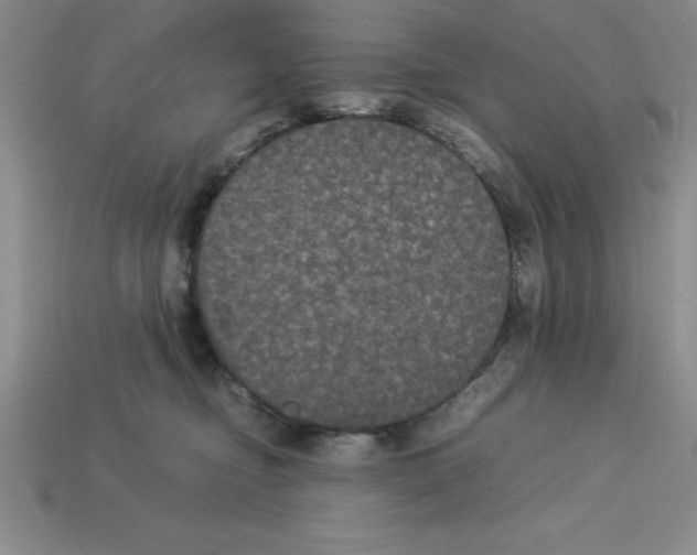 X0000112850374200910021256