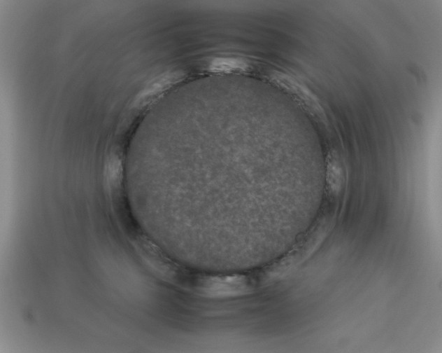 X0000112850375200910021256