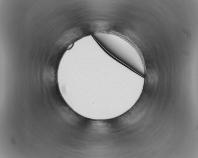 X0000112850380200910021256