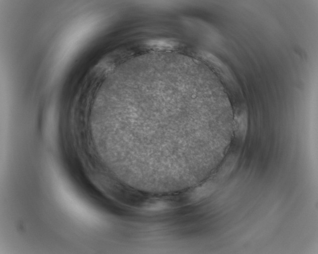 X0000112850381200910021256