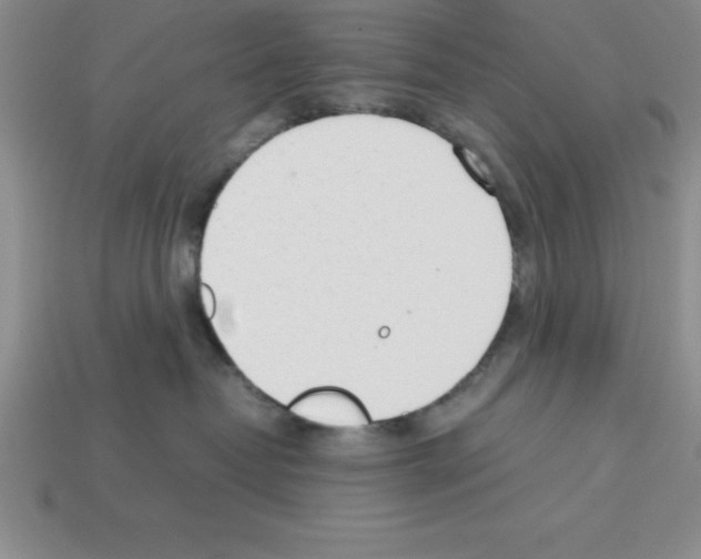 X0000112850382200910021256