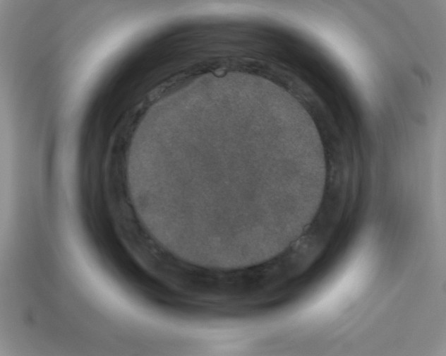 X0000112850383200910021256