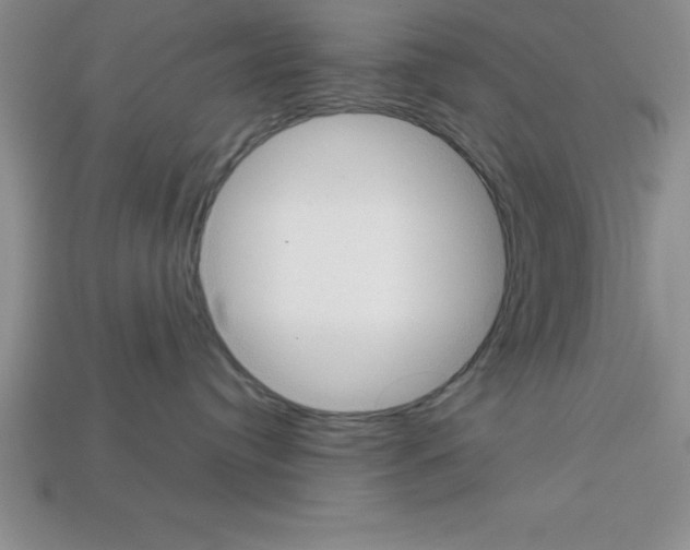 X0000112850384200910021256