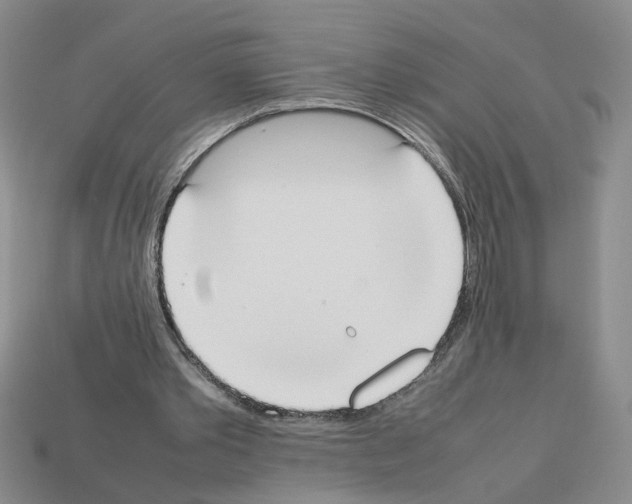 X0000112850389200910021255