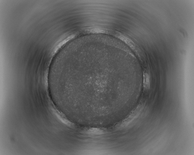 X0000112850390200910021255