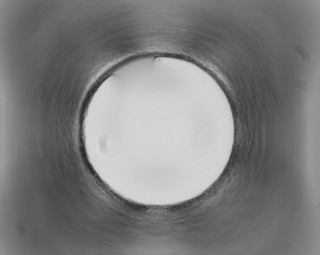 X0000112850391200910021255