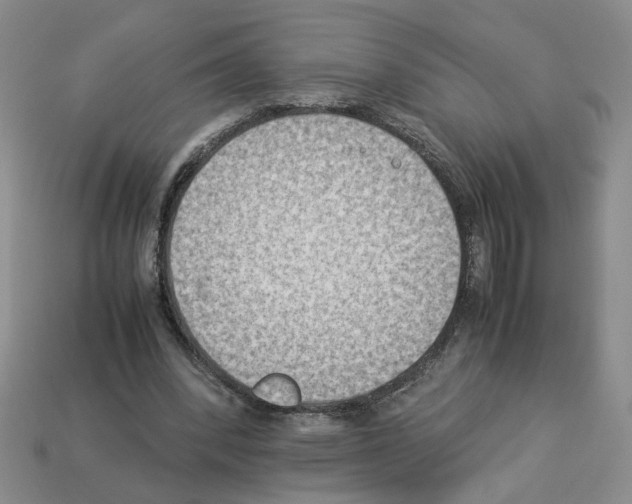 X0000112850392200910021255