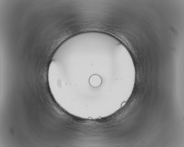 X0000112850393200910021255