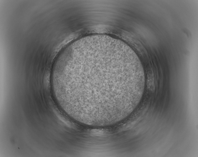 X0000112850394200910021255